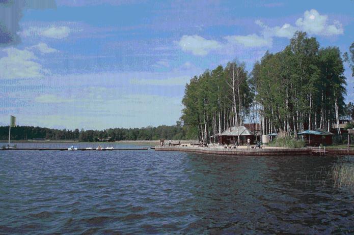 Atputas Komplekss Lilaste Bagian luar foto