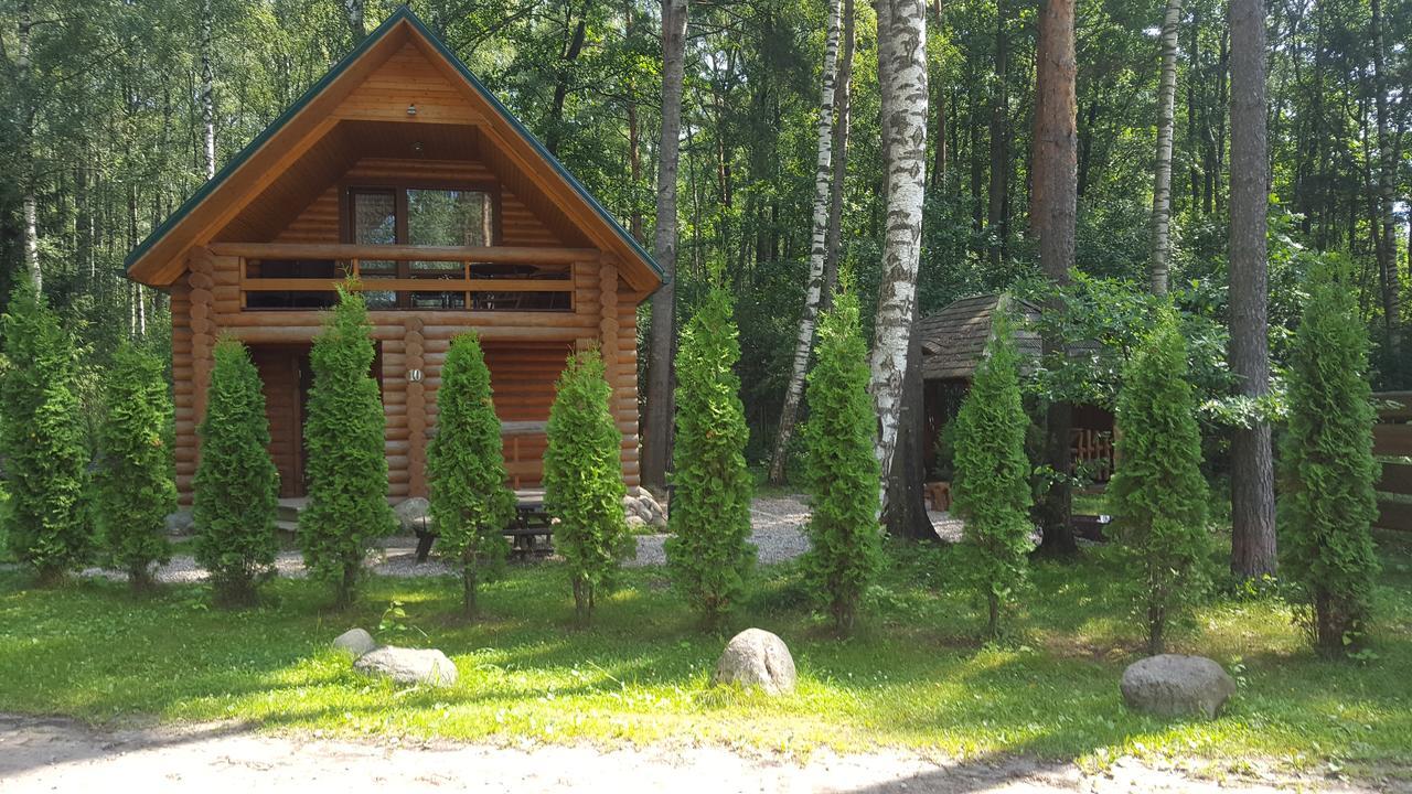 Atputas Komplekss Lilaste Bagian luar foto